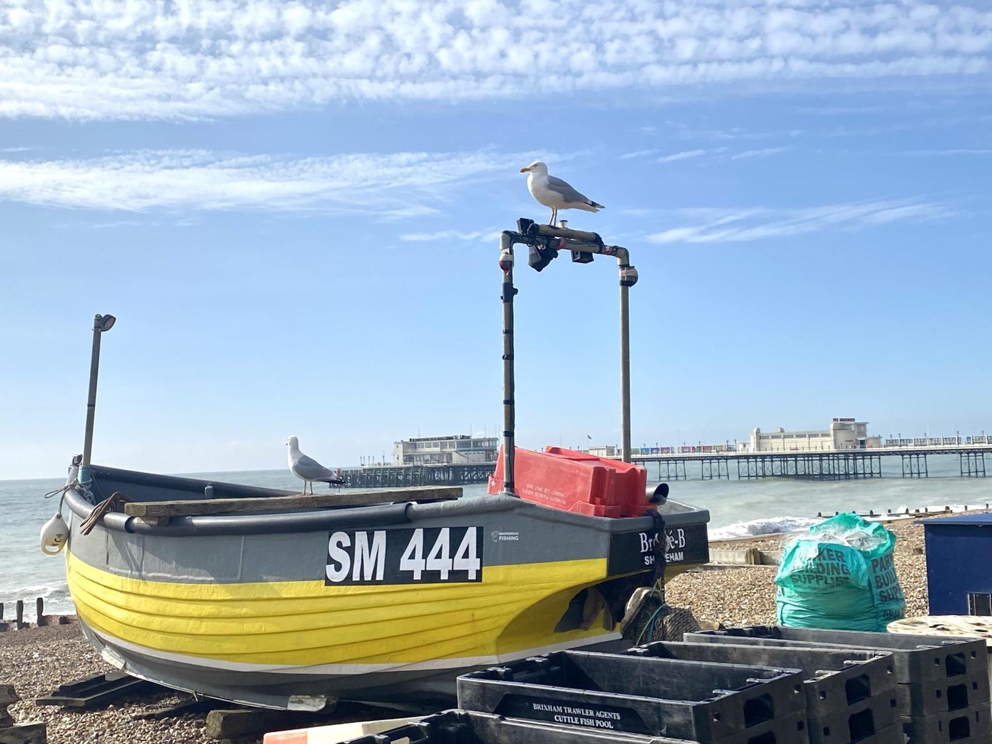Stunning 2 Bed Apartment Sea Views And Parking Worthing Zewnętrze zdjęcie